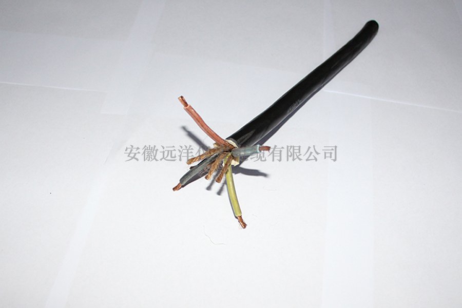 ����������|